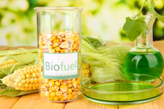 Little Bristol biofuel availability
